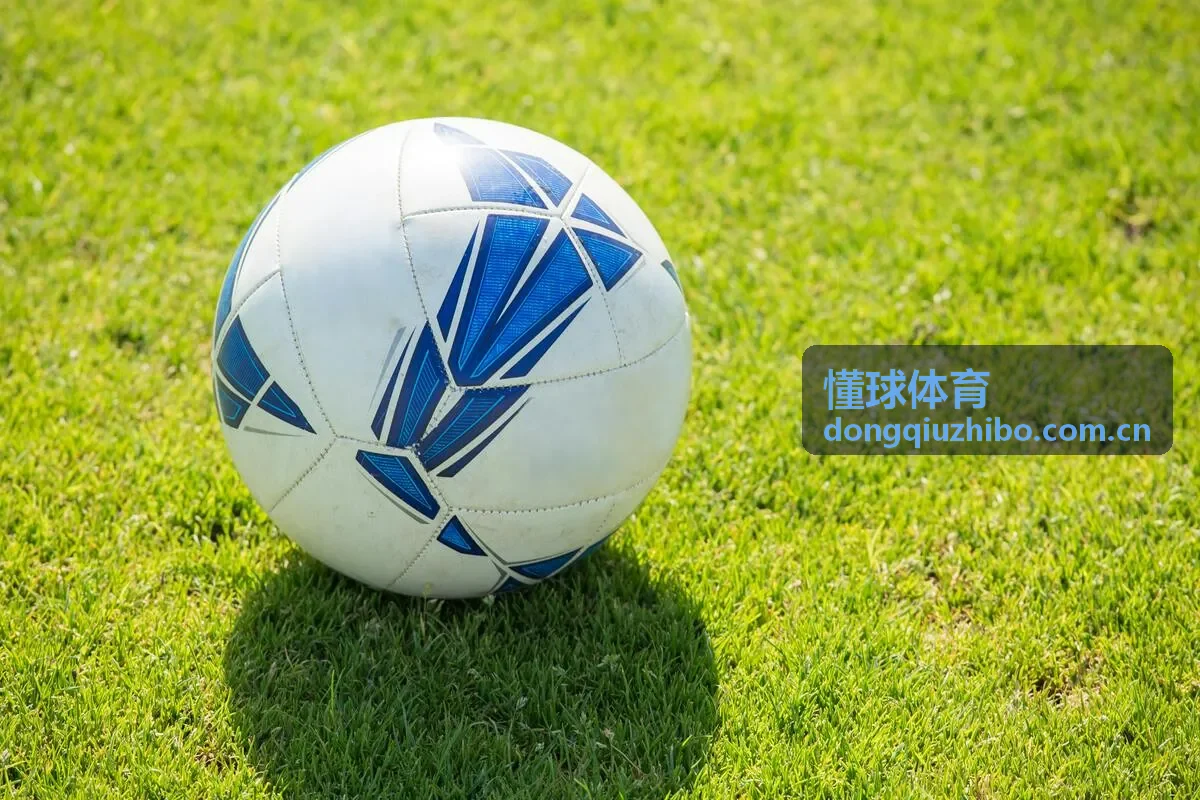 懂球体育数据可视化图表